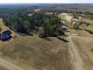 29 Ginners Ln, Hernando, MS 38632 - photo 5