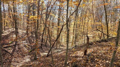 7447 Township Road 215a unit (Tract 6 at Shawnee, Corning, OH 43730 - photo 3