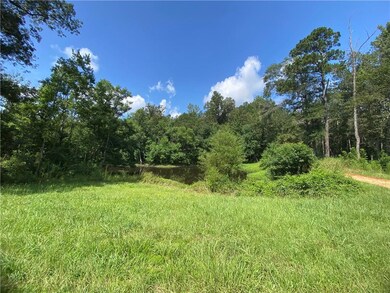 2791 Highway 10 Other, Greensburg, LA 70441 - photo 4