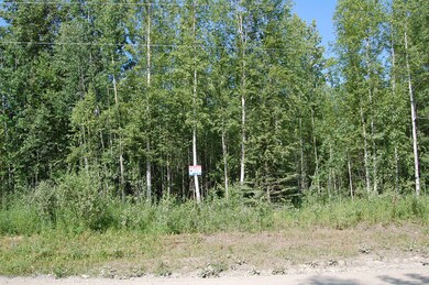 13505 Maplewood Dr, Big Lake, AK 99654 - photo 4
