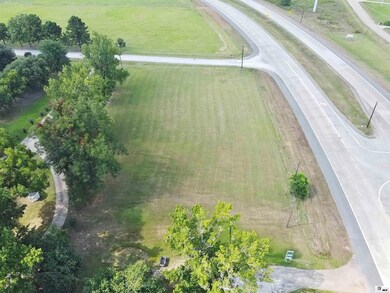 0 Highway 165 unit 215982, Sterlington, LA 71281 - photo 3