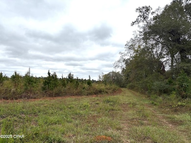 tbd N Golden Rd, Jacob City, FL 32431 - photo 3