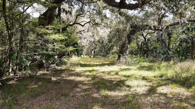 W C 48, Bushnell, FL 33513 - photo 3