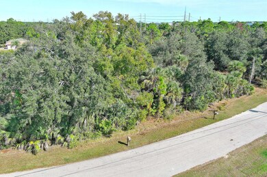 0 Santa Ana Rd unit A11927836, North Port, FL 34286 - photo 2