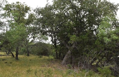 0 Pfiester Rd unit 80356, Fredericksburg, TX 78624 - photo 5