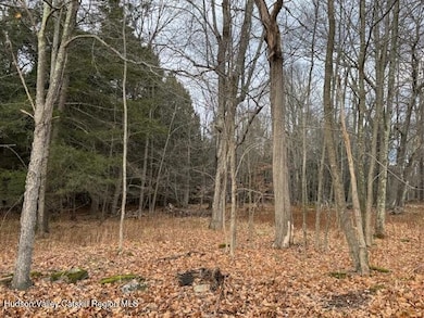 Tbd Park, Lexington, NY 12452 - photo 7