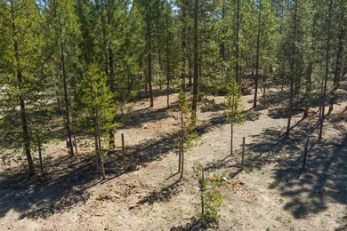 3900 Lot Wagon Trail_ (6)