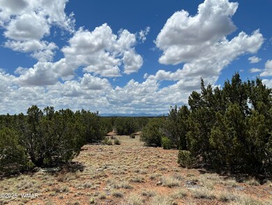 0 8309, Concho, AZ 85924 - photo 3