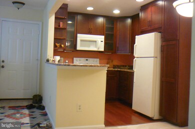 11717 Karbon Hill Ct unit 709H, Reston, VA 20191 - photo 3