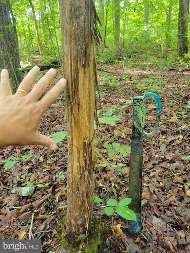 00 Watkins Mill Rd - Lot 27, Midlothian, VA 23113 - photo 6