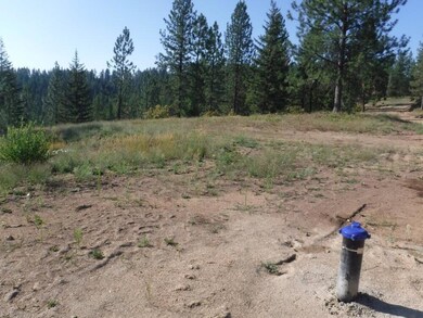 Lot 4 Moose Ridge Way, Loon Lake, WA 99148 - photo 4