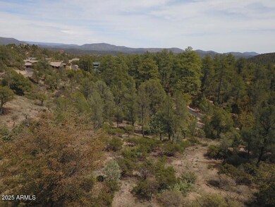 106 S Stewart Vista Rd unit 201, Payson, AZ 85541 - photo 4