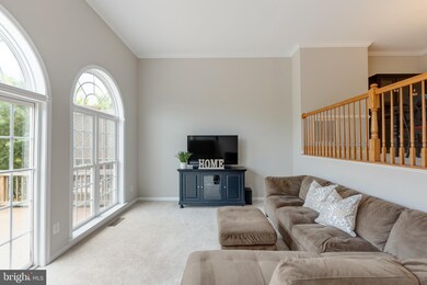 24612 Nettle Mill Square, Stone Ridge, VA 20105 - photo 6