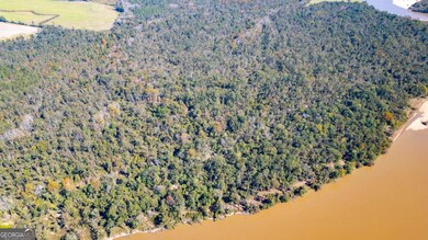 0 Gray's Landing Rd unit 10647341, Uvalda, GA 30473 - photo 5