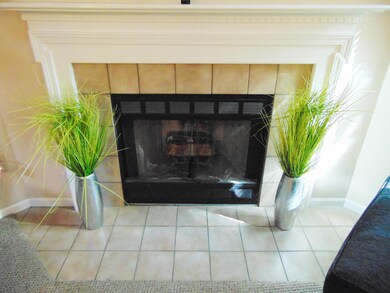 Woodburning Fireplace