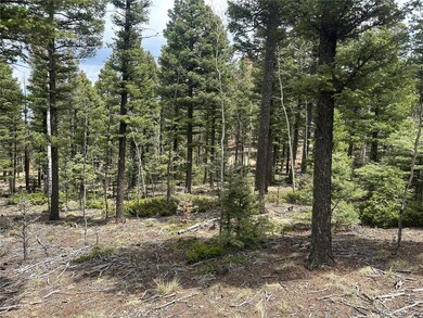 Build site looking East