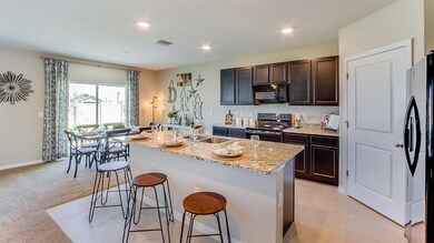 35520 Stella Vast Dr, Zephyrhills, FL 33541 - photo 4