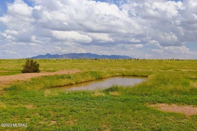 Elgin property 4