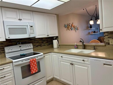 25808 Cockleshell Dr unit 315, Bonita Springs, FL 34135 - photo 6