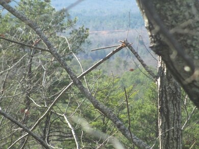 N31 Mountain Laurel Dr, Salem, SC 29676 - photo 4