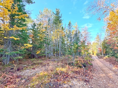 14859 N Whitefish Point Rd, Paradise, MI 49768 - photo 3