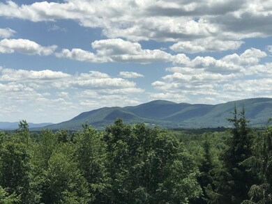 22 Millard Rd, Egremont, MA 01230 - photo 5