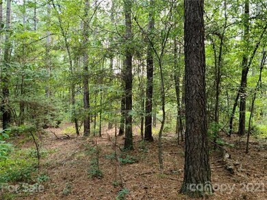 5028 Townsend Buildsite View