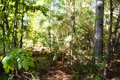 Enjoy a nice mix of hardwoods and pines.