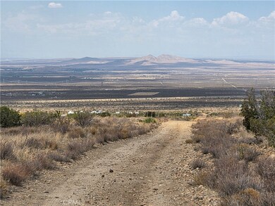 0 Vac Vic 193rd St Ave E unit HD25191572, Pearblossom, CA 93544 - photo 4