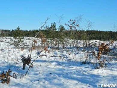 Pcl 3 Woodland Pass, Danbury, WI 54830 - photo 2