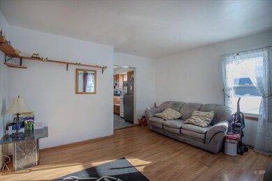 1104 Cora St, Joliet, IL 60435 - photo 5