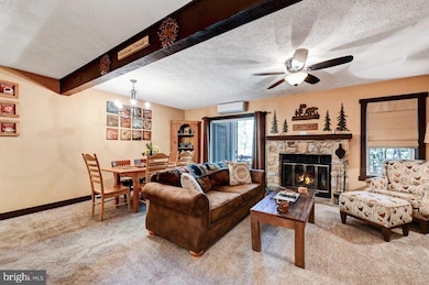 11 Downhill, Blakeslee, PA 18610 - photo 6