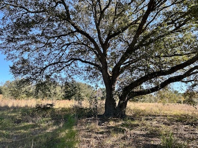 00 Virginia Rd, Dorchester, SC 29437 - photo 5
