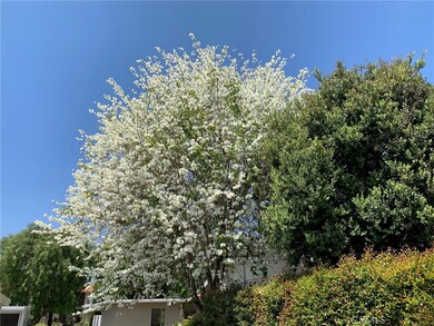 684 Via Alhambra unit A, Laguna Woods, CA 92637 - photo 4