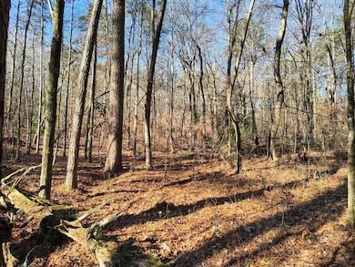 000 Bishop Trail, Rocky Face, GA 30740 - photo 4
