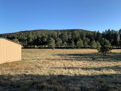 Lot 3 James Canyon Hwy unit 3, Cloudcroft, NM 88317 - photo 3