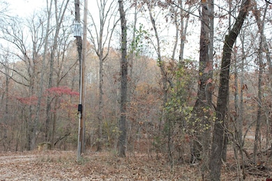 63 Flintridge Ct, Mountain Home, AR 72653 - photo 3