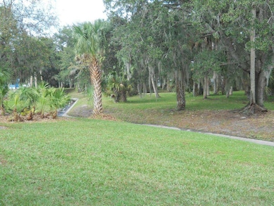 Back Yard View