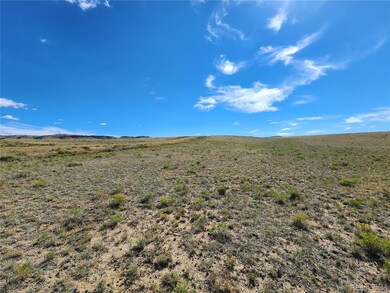 3712 Cimarron Dr unit 2, Hartsel, CO 80449 - photo 6