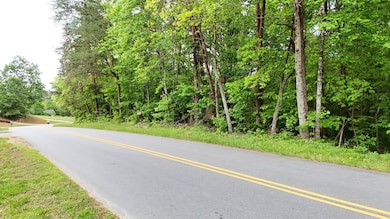 Mt Tabor Church Rd, Easley, SC 29640 - photo 4