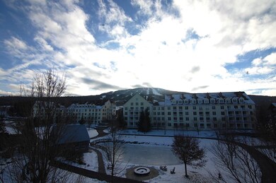 43 Middle Ridge Rd unit 416, Winhall, VT 05155 - photo 4