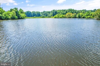 0 Carters Farm Ln unit VALO2036108, Middleburg, VA 20117 - photo 6