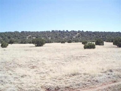 flat land and views