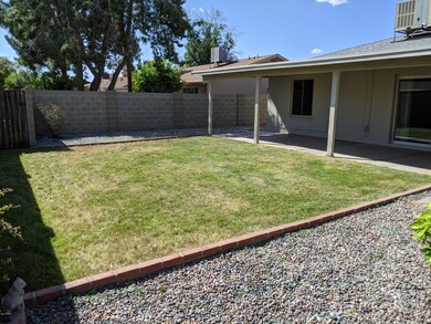 Backyard 1