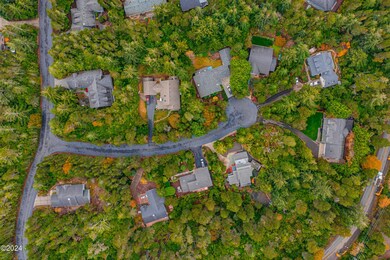 DJI_0301
