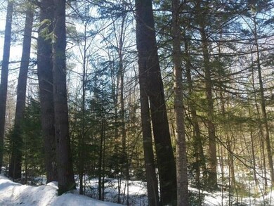 1 Wint Rd, Sweden, ME 04040 - photo 6