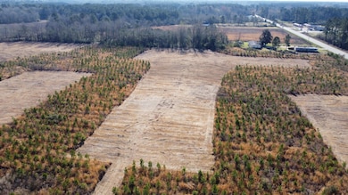 4 S Carolina 6, Cross, SC 29436 - photo 2