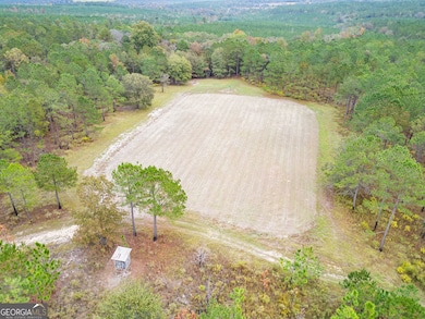 0 Fall Line High Fence unit 25641535, Ellaville, GA 31806 - photo 7