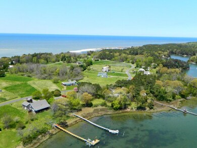 Vaucluse Shores