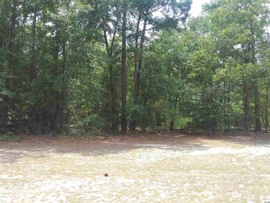 TBD Whispering Woods Rd, Conway, SC 29526 - photo 4